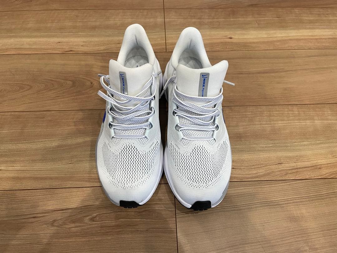 NIKE ペガサス41 27.5cm
