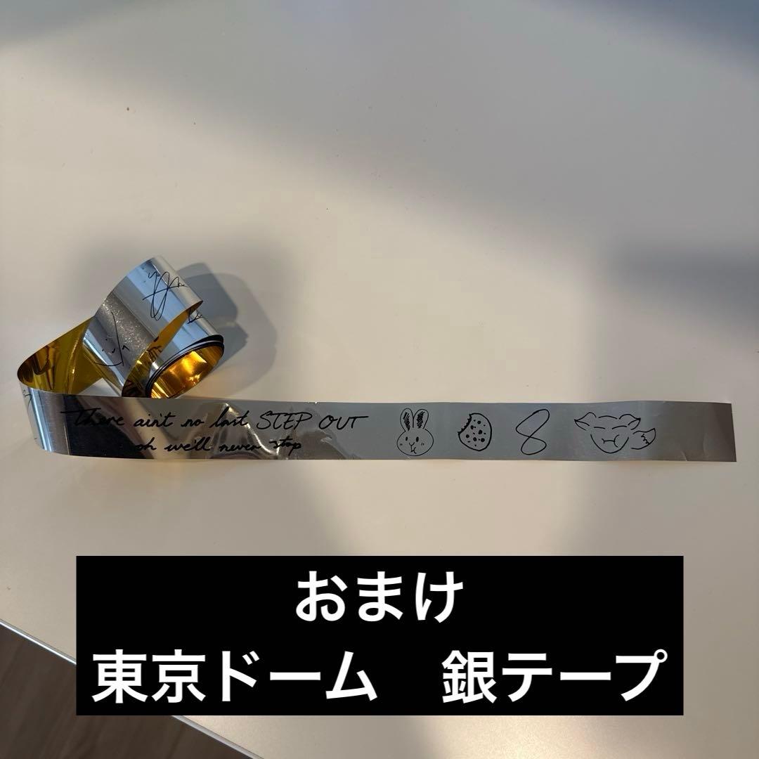 STRAY KIDS スキズ　エコパ　ドーム　アプグレ特典　グッズ　セット