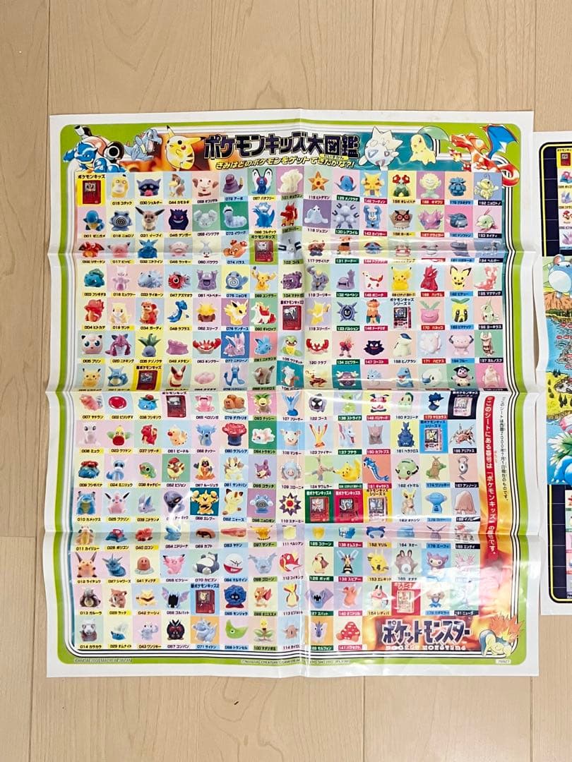 ポケモンキッズ大図鑑　ワールドマップ　レジギガスプレゼントガイド