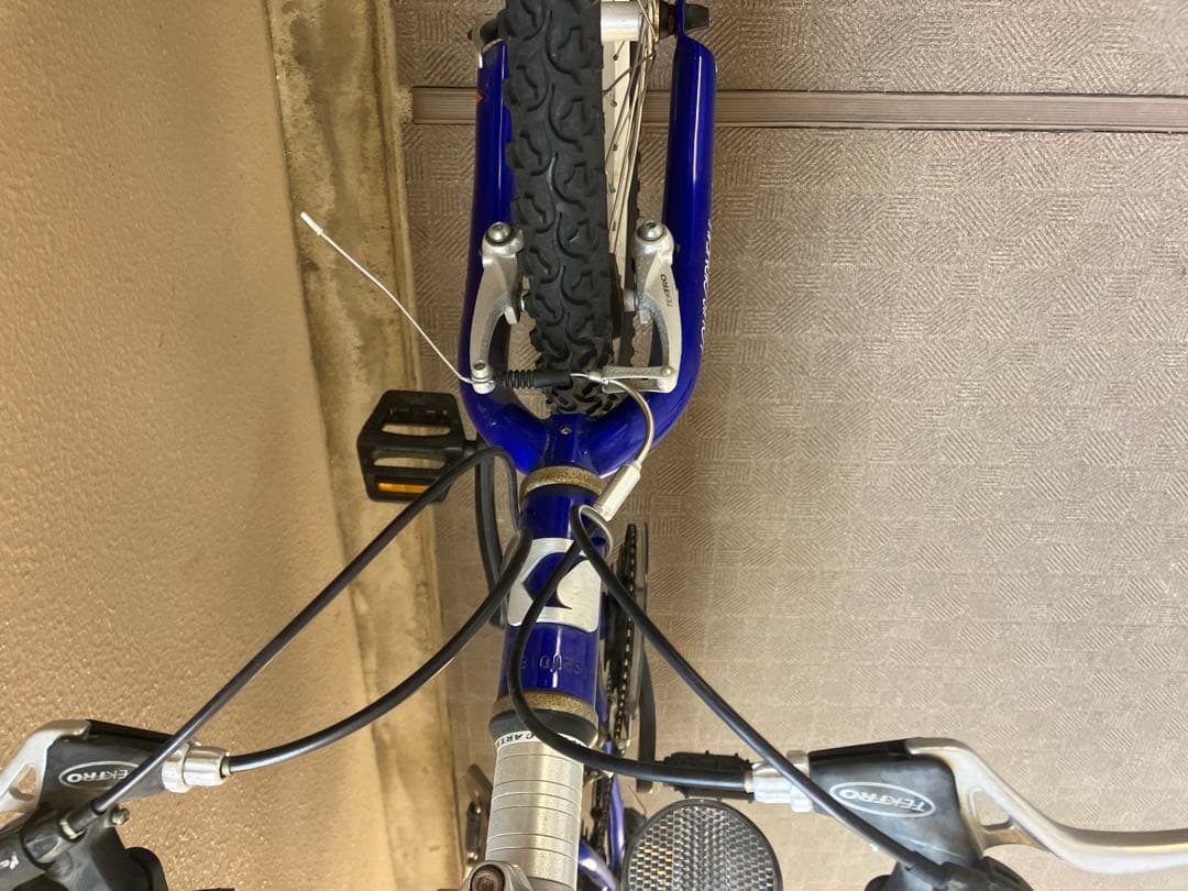 LOUIS GARNEAU 子供用マウンテンバイク 青22インチ京都市