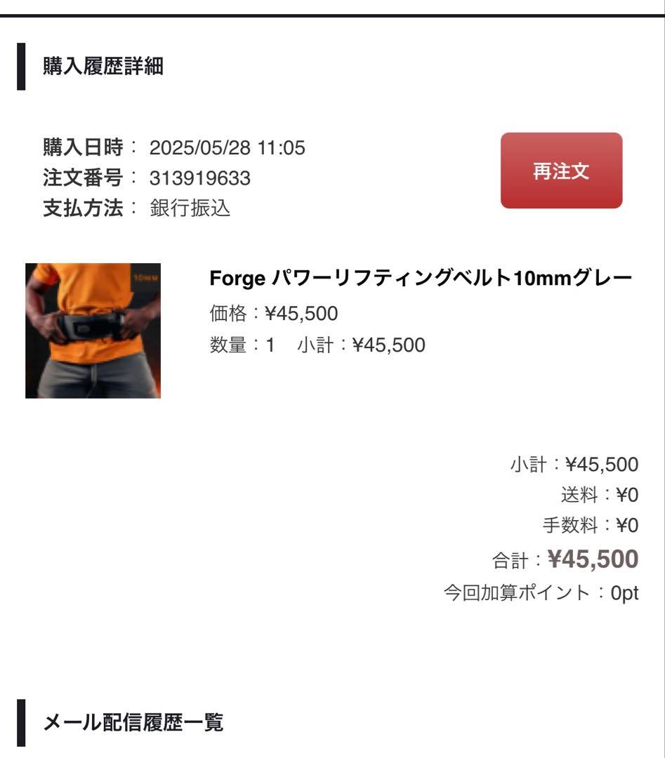 SBD パワーベルト フォージ 10mm ベルト Mサイズ