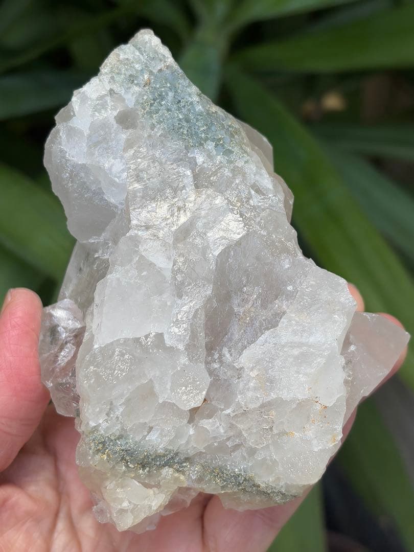 インド　マニハール水晶クラスター　636g クローライト　透明度　ヒマラヤ水晶