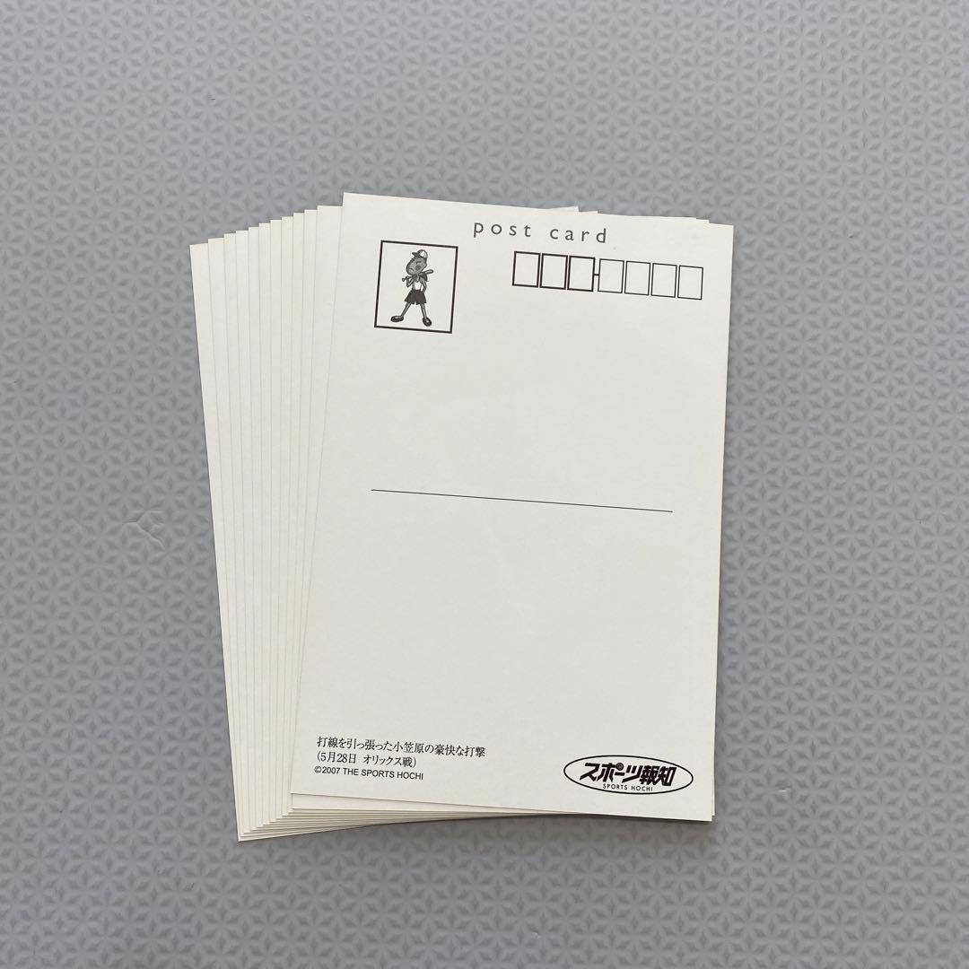 読売ジャイアンツ　グッズ　まとめ売り　タオル2点追加