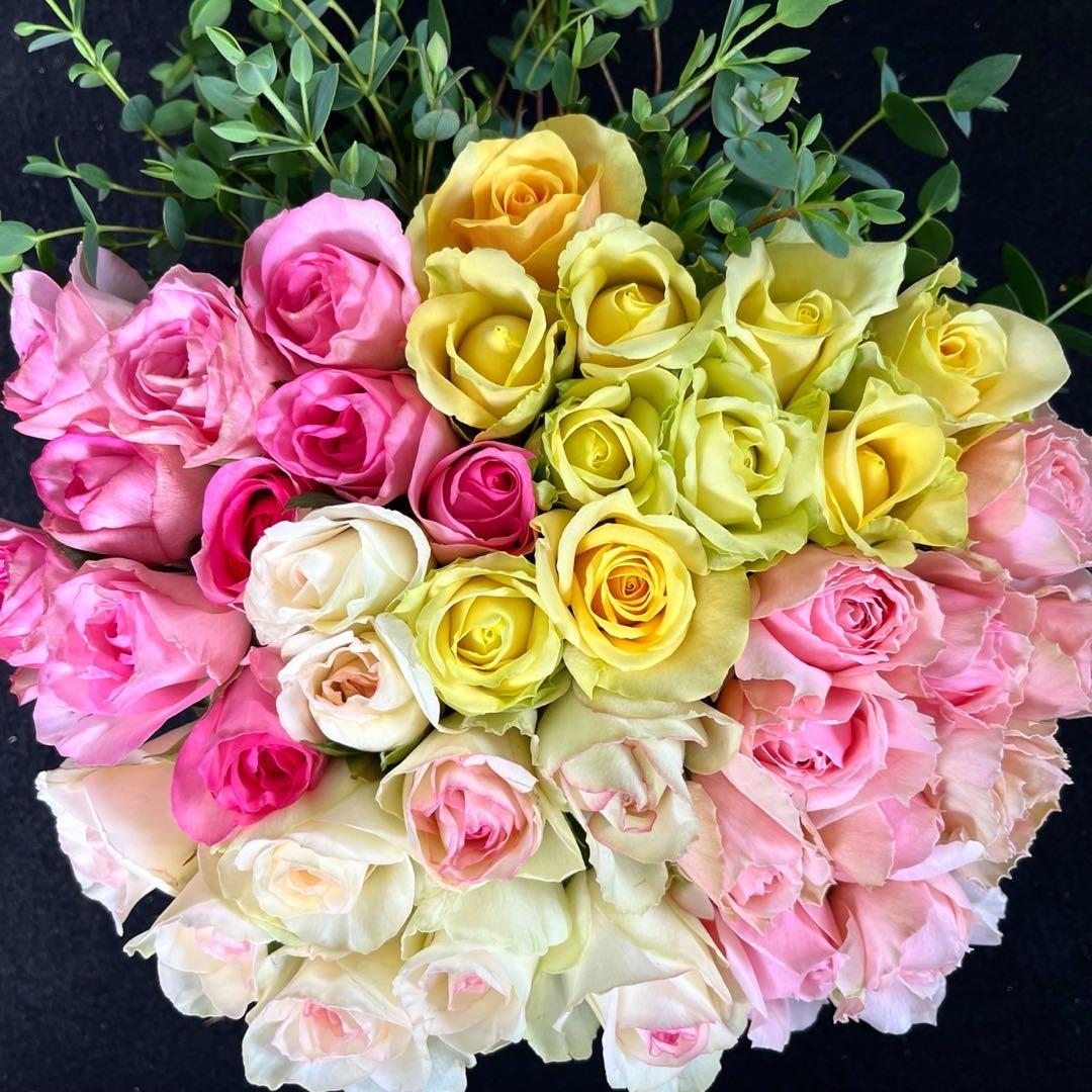 鮮度抜群❗️バラ 《切り花 ・生花 》ユーカリおまかせMIX 30㎝SM 50本