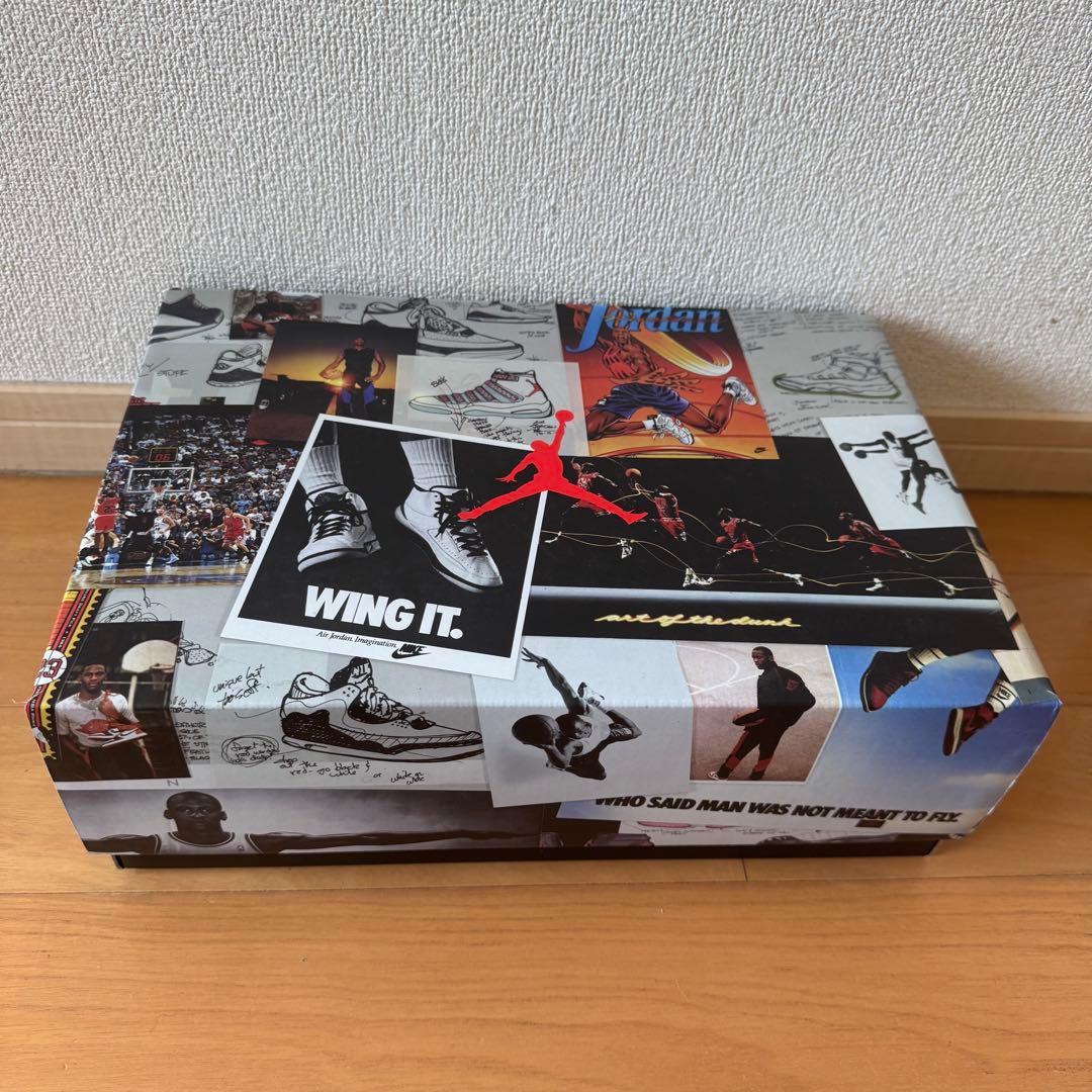 極美品⭐️27.5⭐️Nike Air Jordan 3 Retro SE アニマル