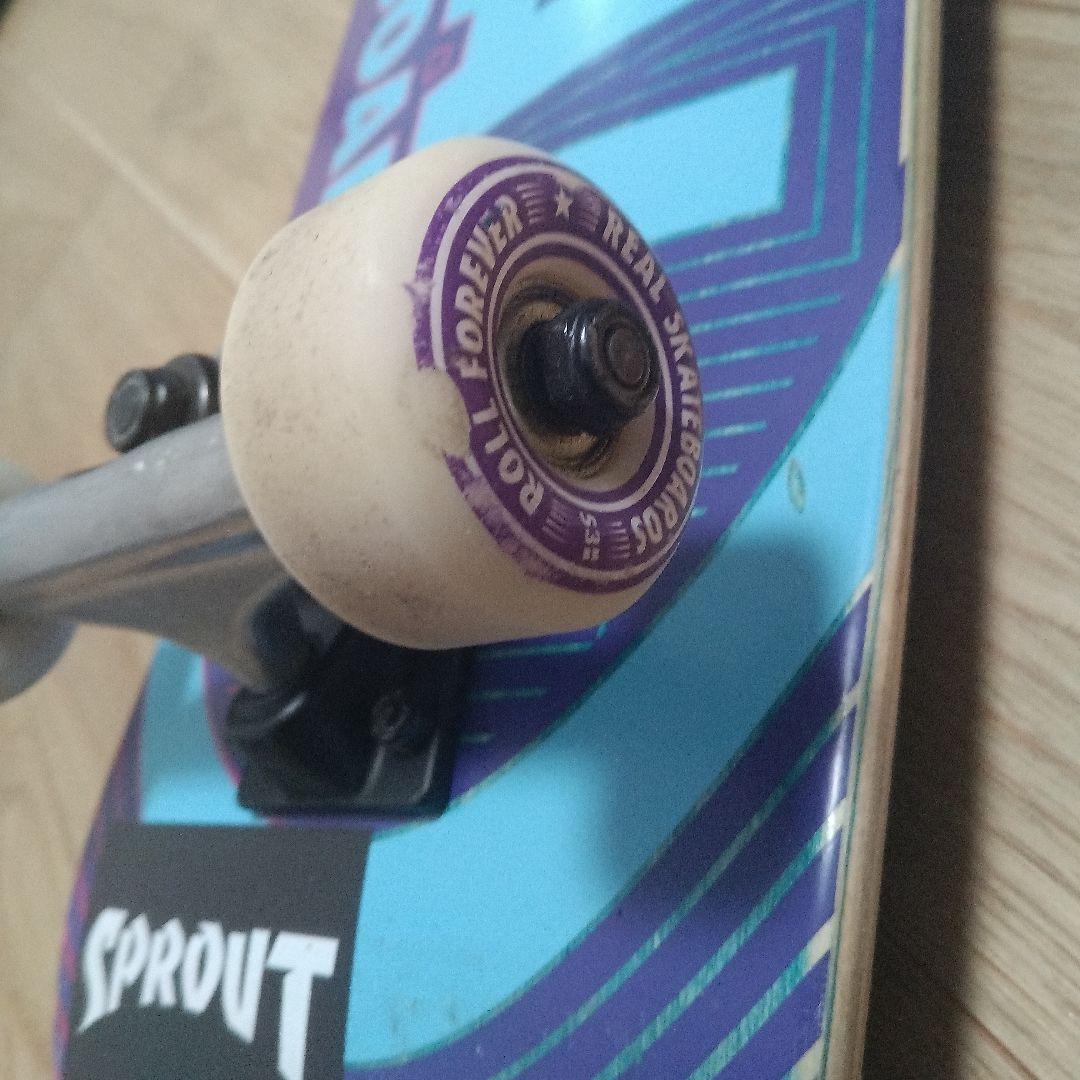 REAL SKATEBOARDS SPROUT コンプリート