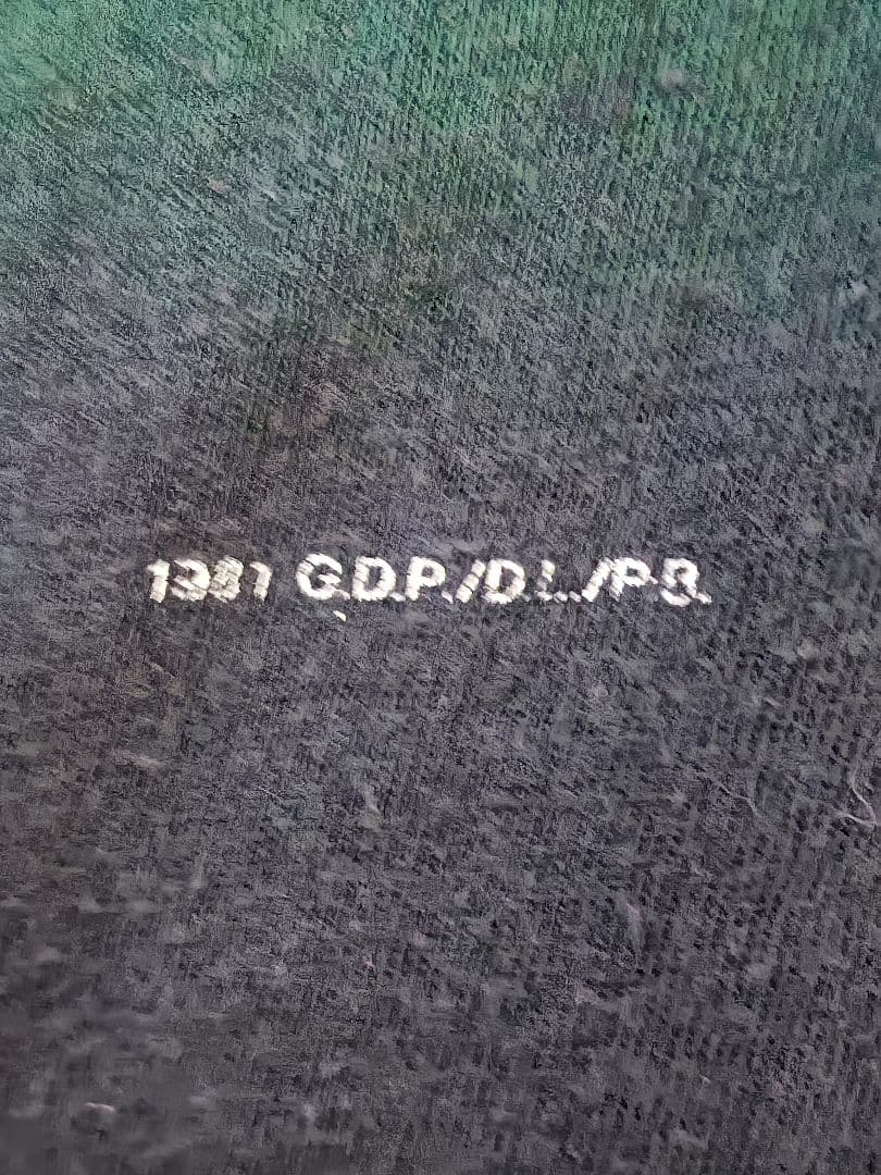Grateful Dead　80's 　ヴィンテージ Tシャツ