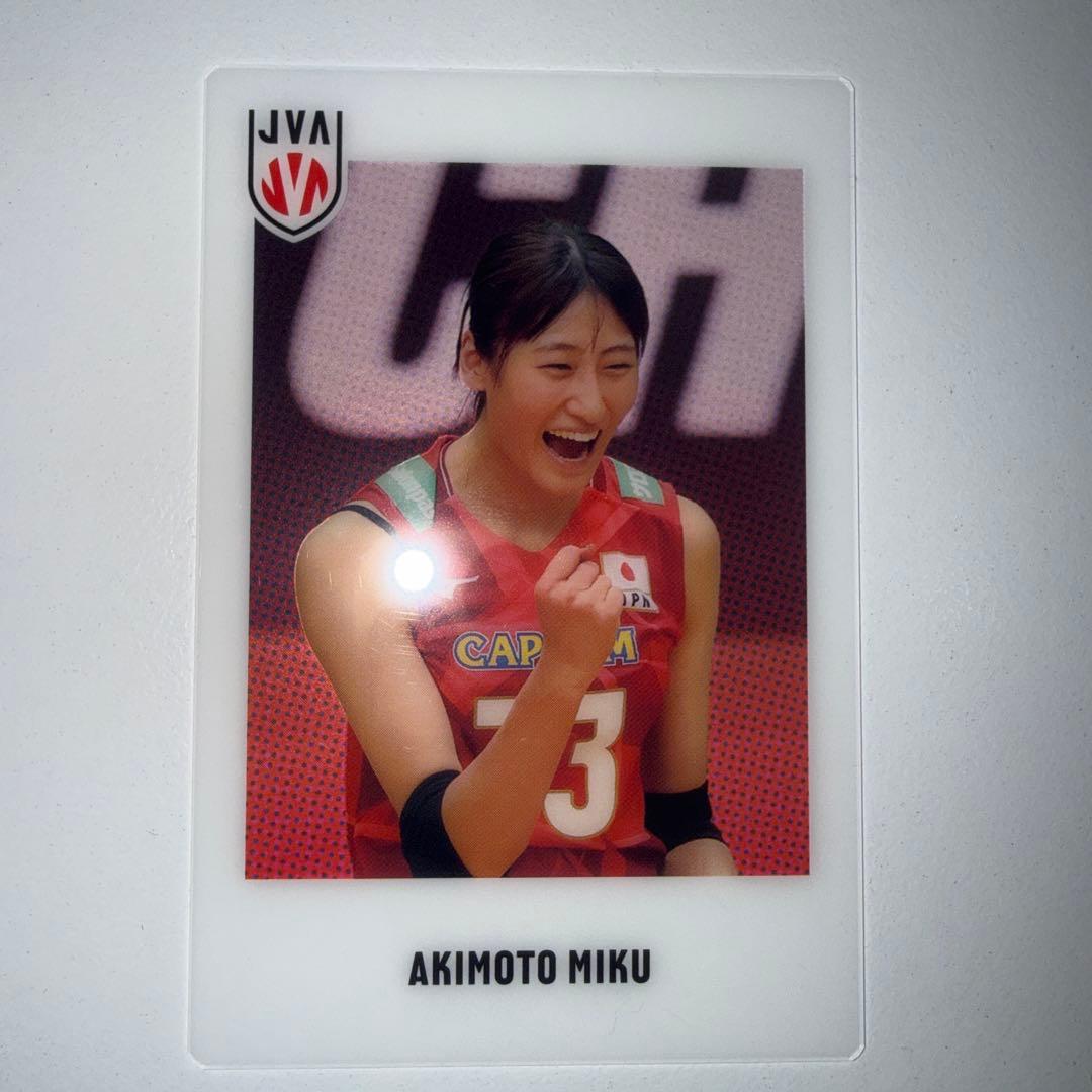 バレーボール 女子 日本代表 選手　トレーディングカード