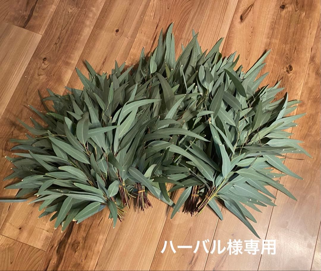 ハーバル