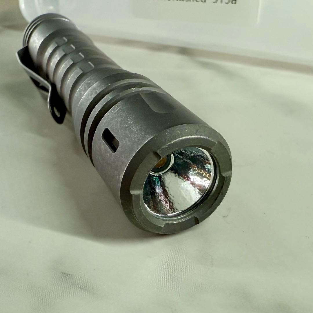 Reylight レイライト ランアップル Ti フラッシュライト