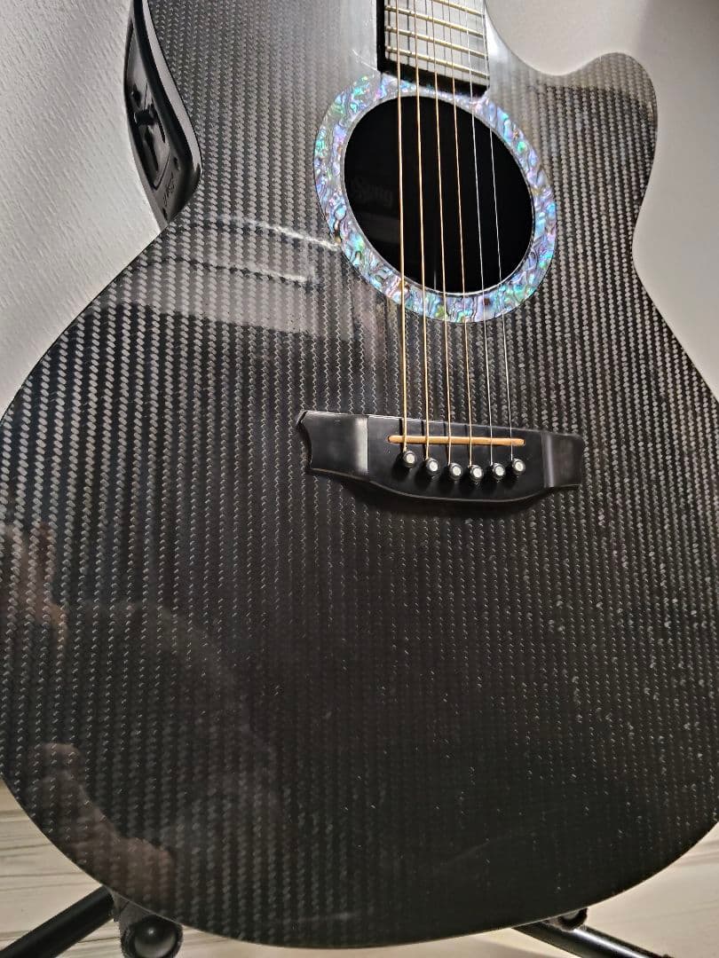 RainSong WS1000 N1 初期型 LR Baggs カーボンギター