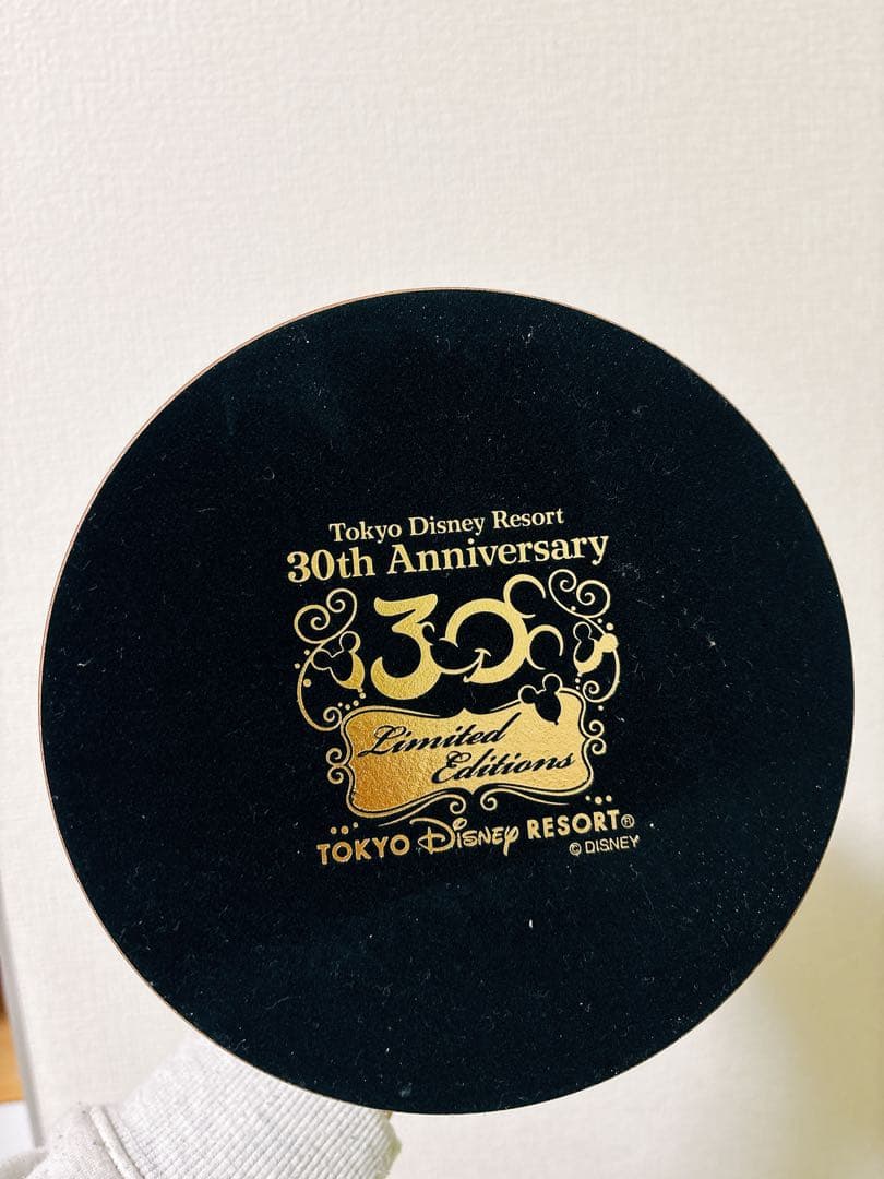 東京ディズニーランド⭐︎ミッキー ブロンズ像 30周年