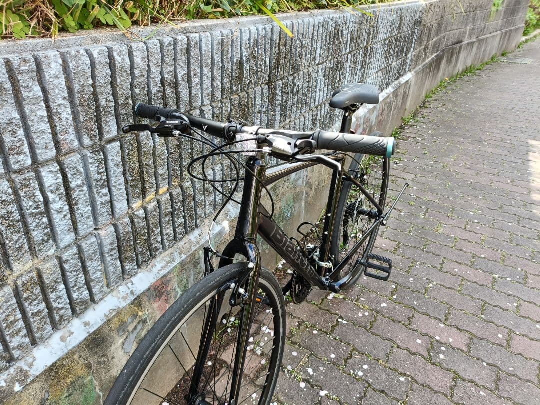 Bianchi C-SPORT1 ブラック 51 カスタム塗装 クロスバイク