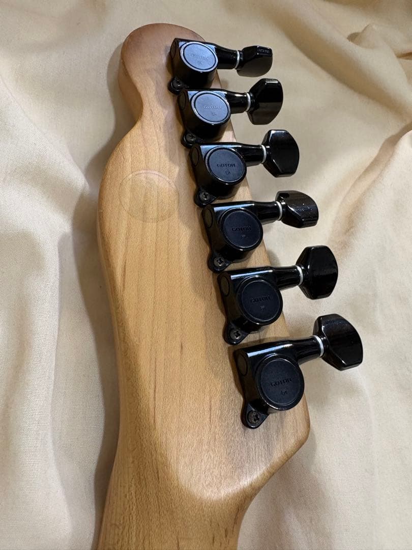 FERNANDES TE-85C EMG搭載 瀧川一郎モデル