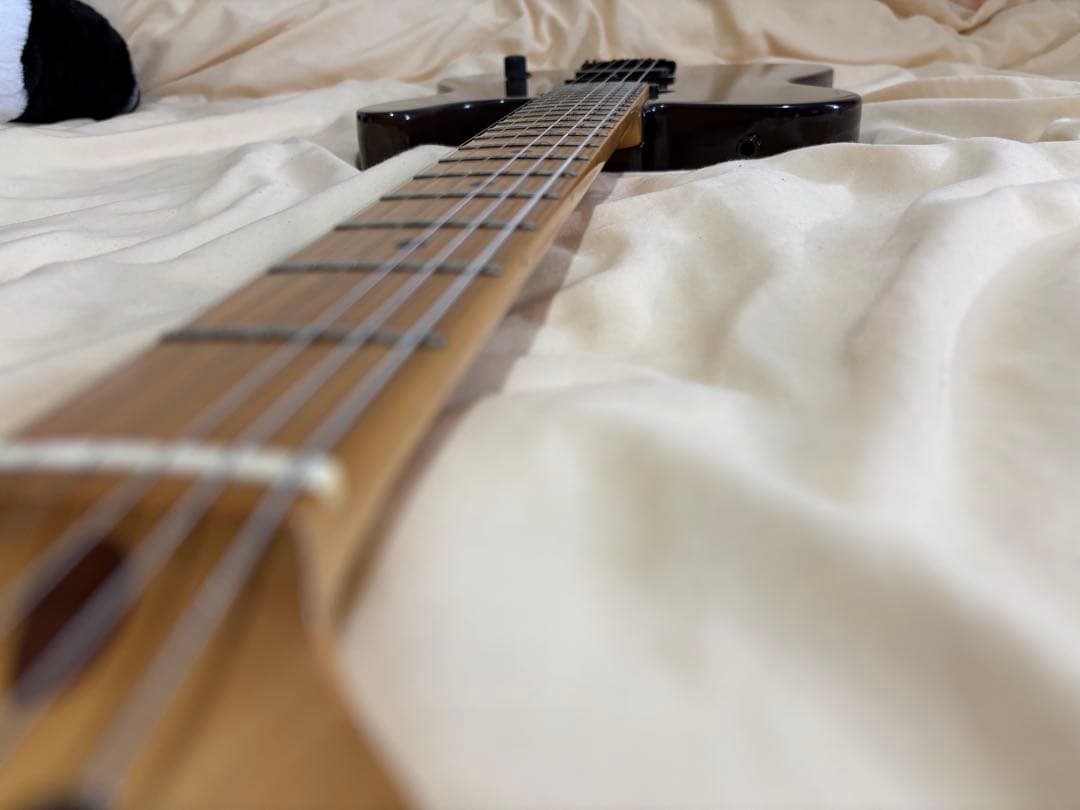FERNANDES TE-85C EMG搭載 瀧川一郎モデル