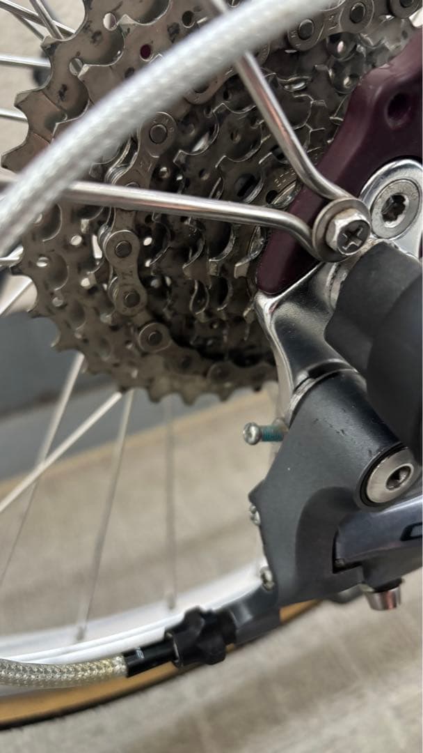 DAHON Dash Altena カスタム多数　引取り限定　埼玉