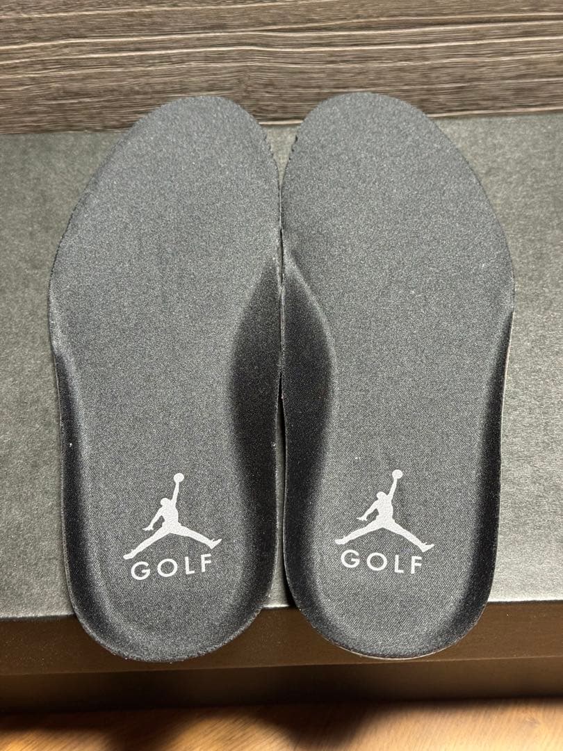 Nike AIR JORDAN 1 LOW GOLF クロコダイル　25.5cm