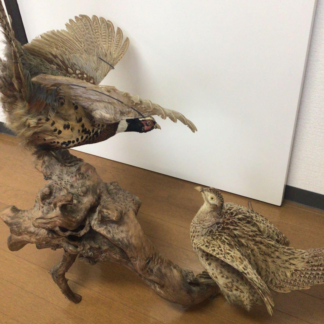 NO.288 飛翔する雉の置物 雄、雌