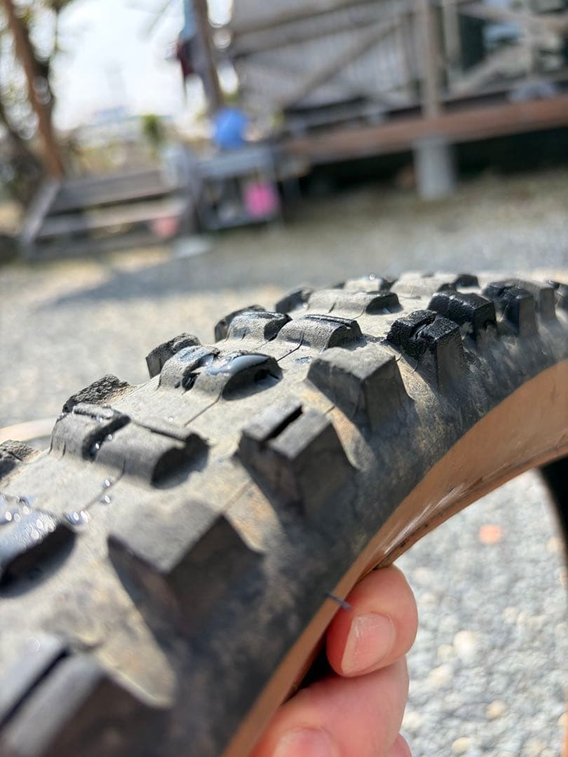 Maxxis タイヤ付き 完組ホイールセット