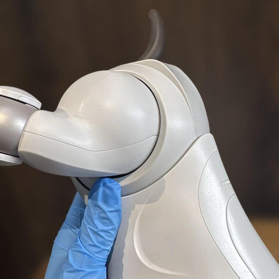 aibo アイボ