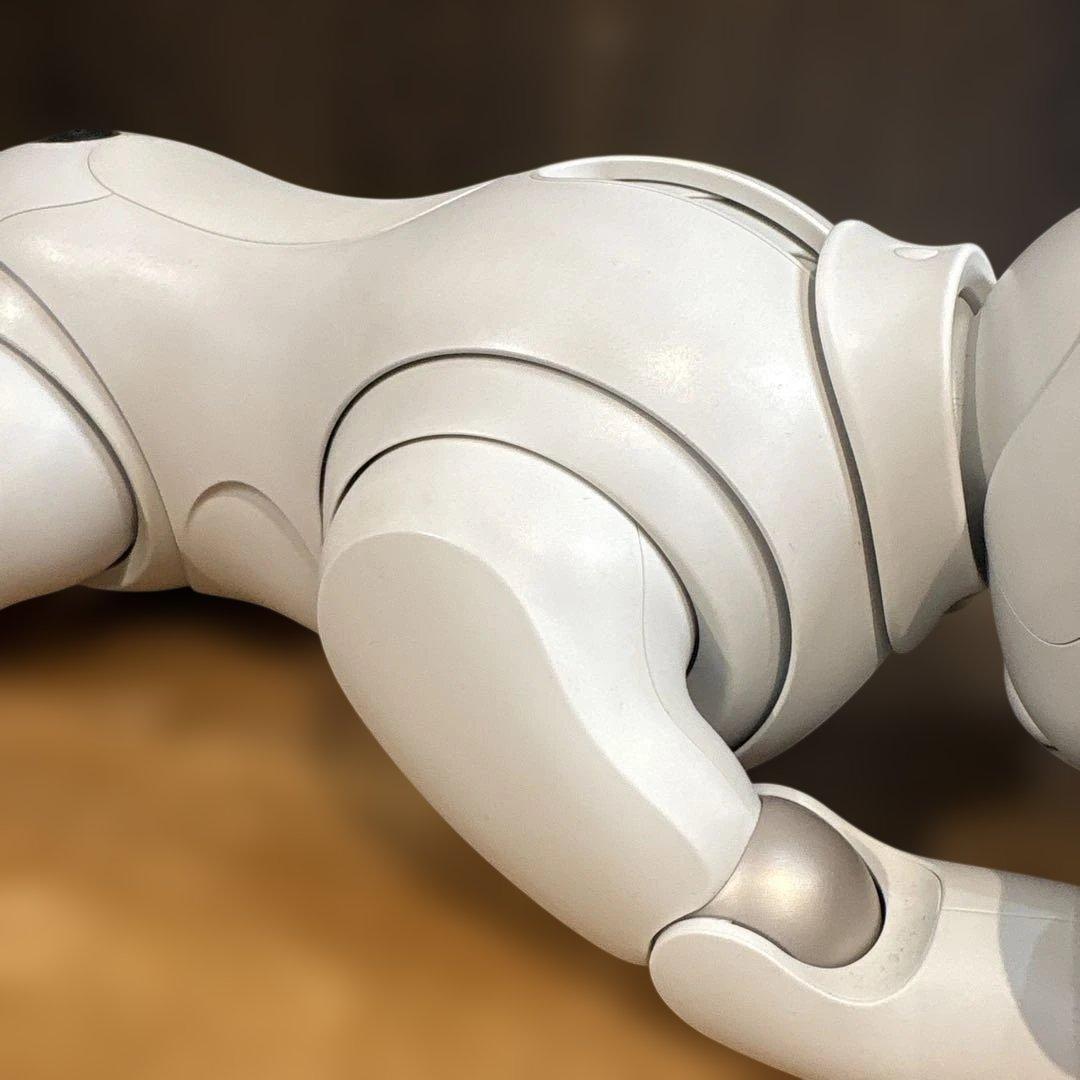 aibo アイボ