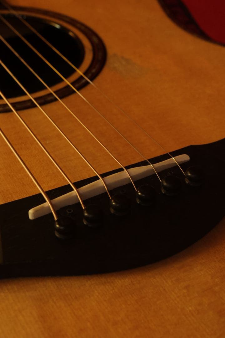 ギター Taylor 914ce V-Class