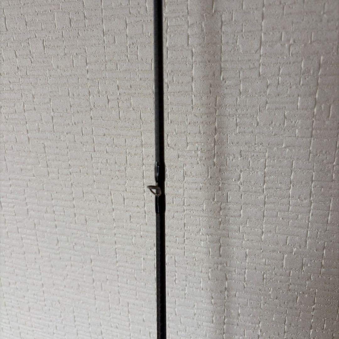 エバーグリーン　カレイドインスピラーレ　スーパースタリオン