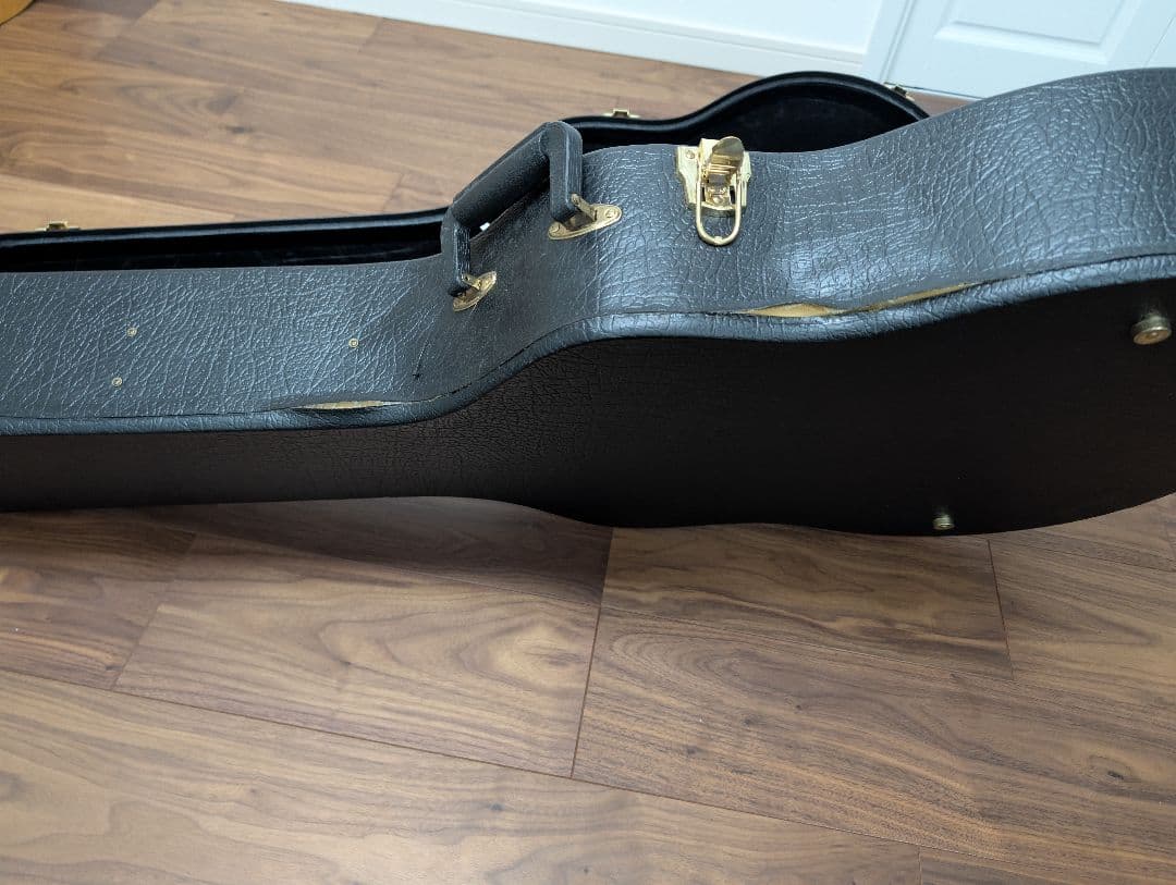 Ashton D20 アコースティックギター