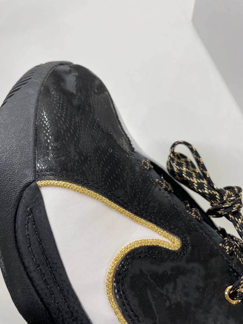Nike LEBRON XXII EPバスケットボールシューズ 28.5cm