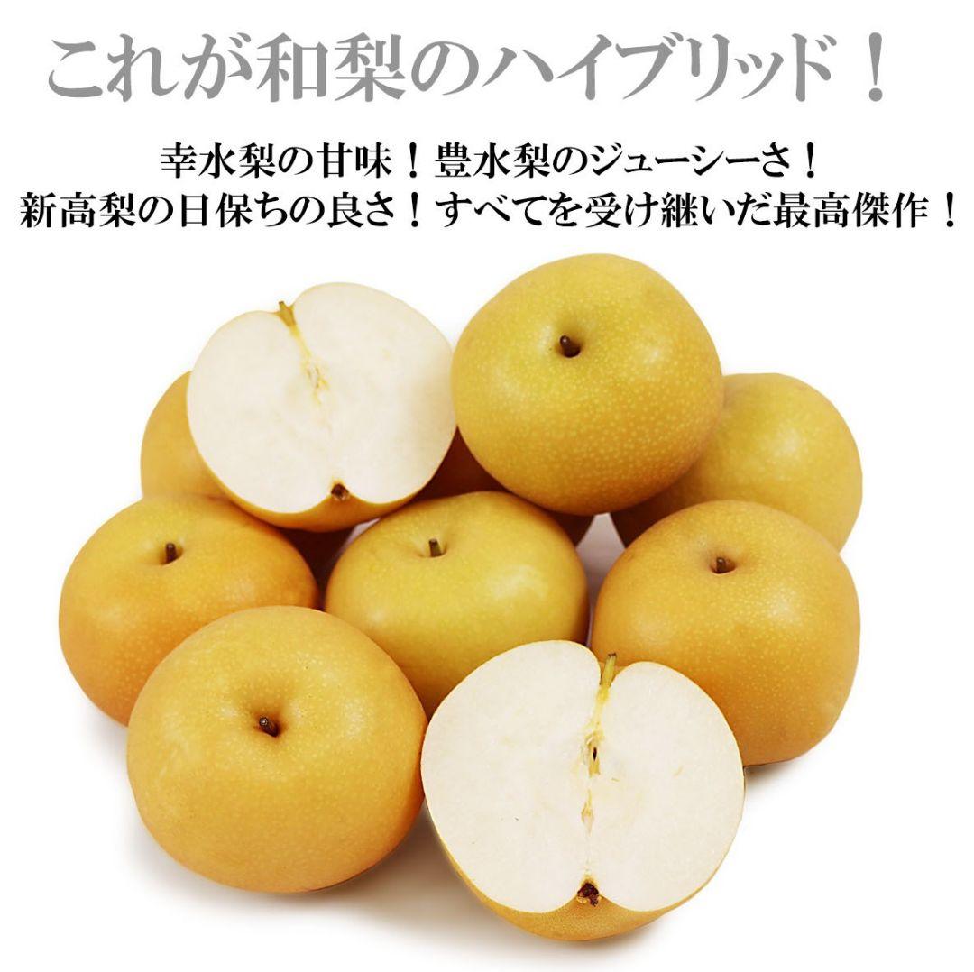 ナシ苗木　【秋月】　PVP登録品種
