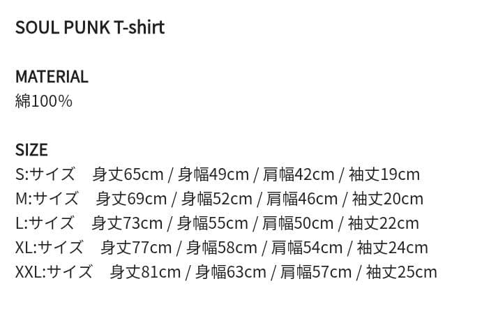 新品 Hi-STANDARD SOUL PUNK Tシャツ ハイスタ Tシャツ