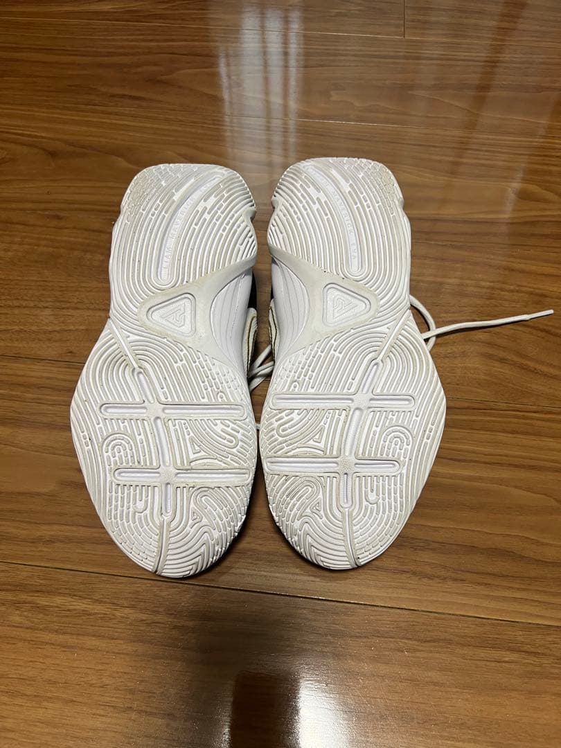 NIKE GIANNIS バスケットシューズ バッシュ23cm
