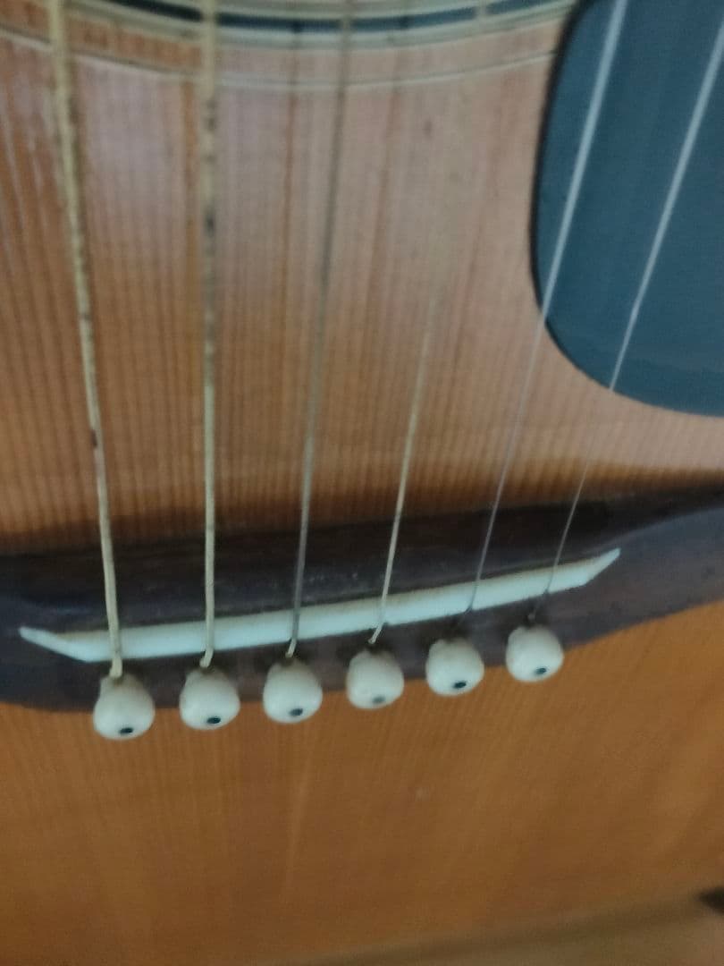 Morris 1970年製＆ギグバック