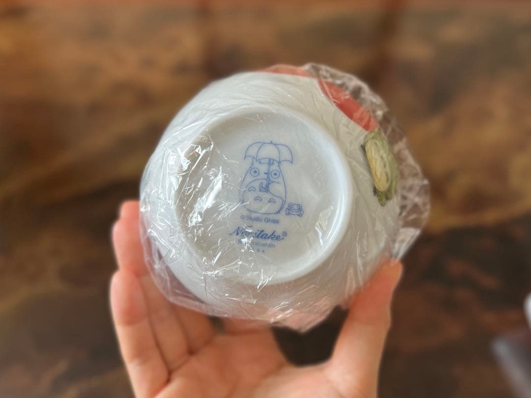 noritake となりのトトロ 野菜シリーズ プレート ボウル　6点セット