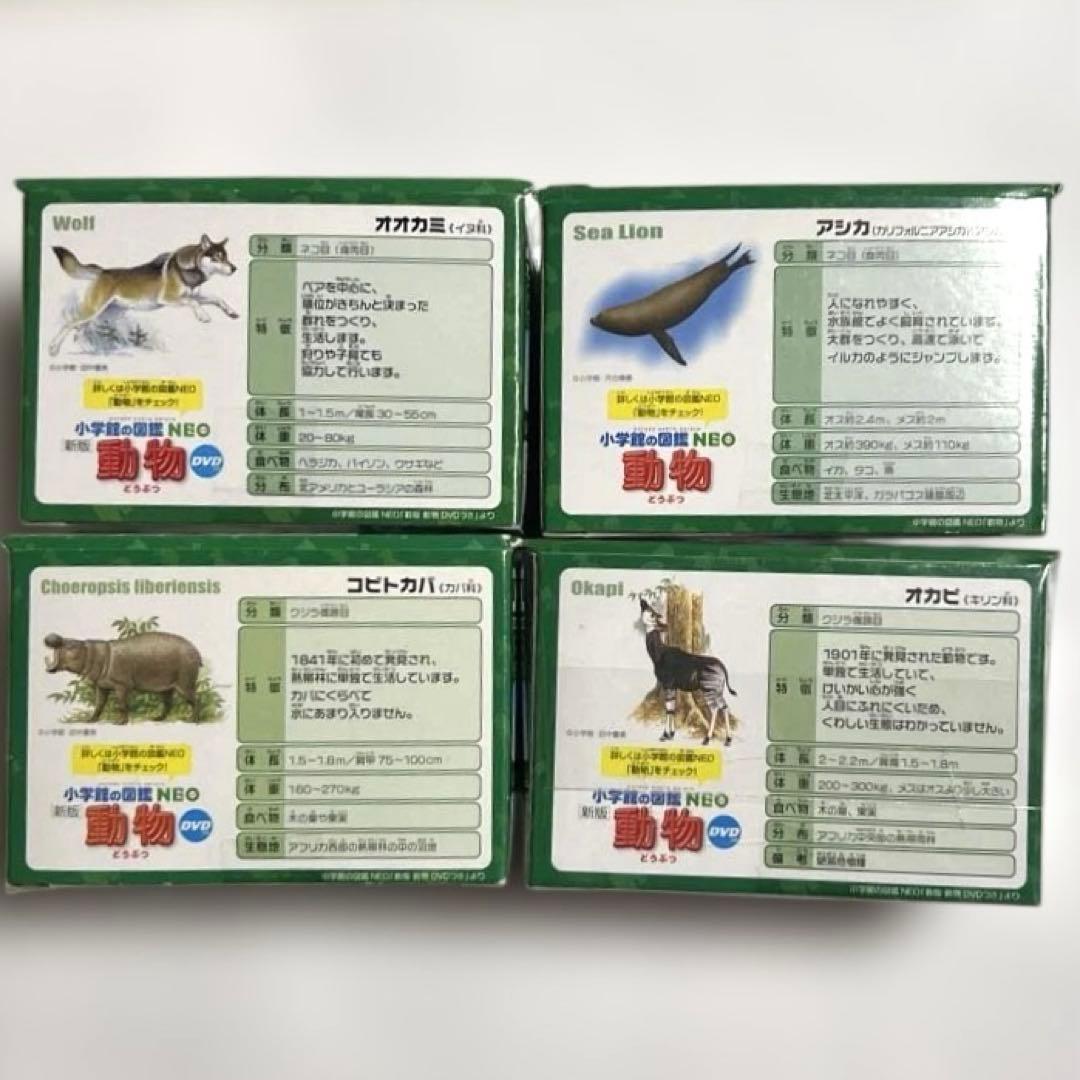 廃盤アニア 4点セット AS-27 オカピ 新品・未開封