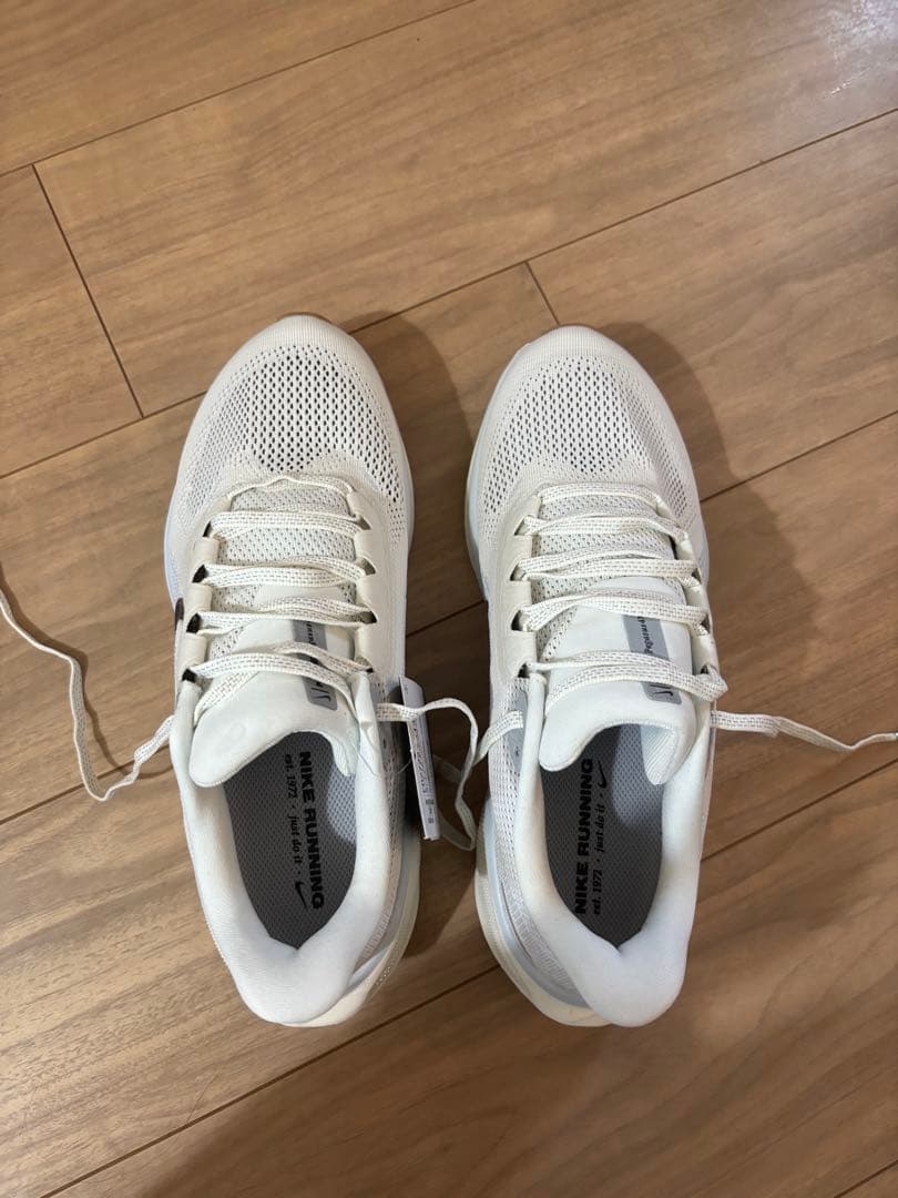 【タンケ】Nike pegasus 41 25.5cm
