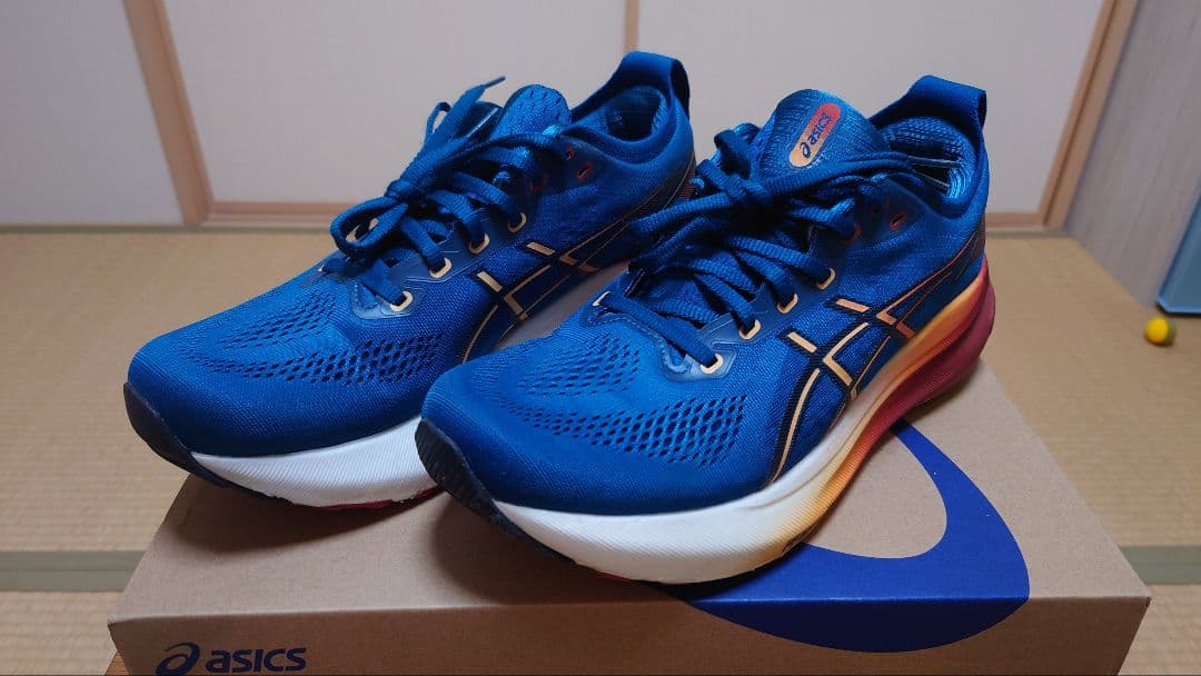 ASICS　ランニングシューズ　ゲルカヤノ31(GEL-KAYANO 31)