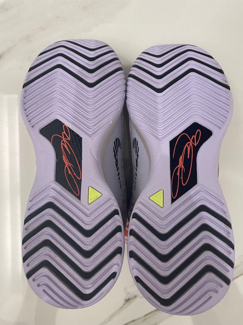 NIKE ナイキ　 レブロン NXXT ジーニサス　26.0