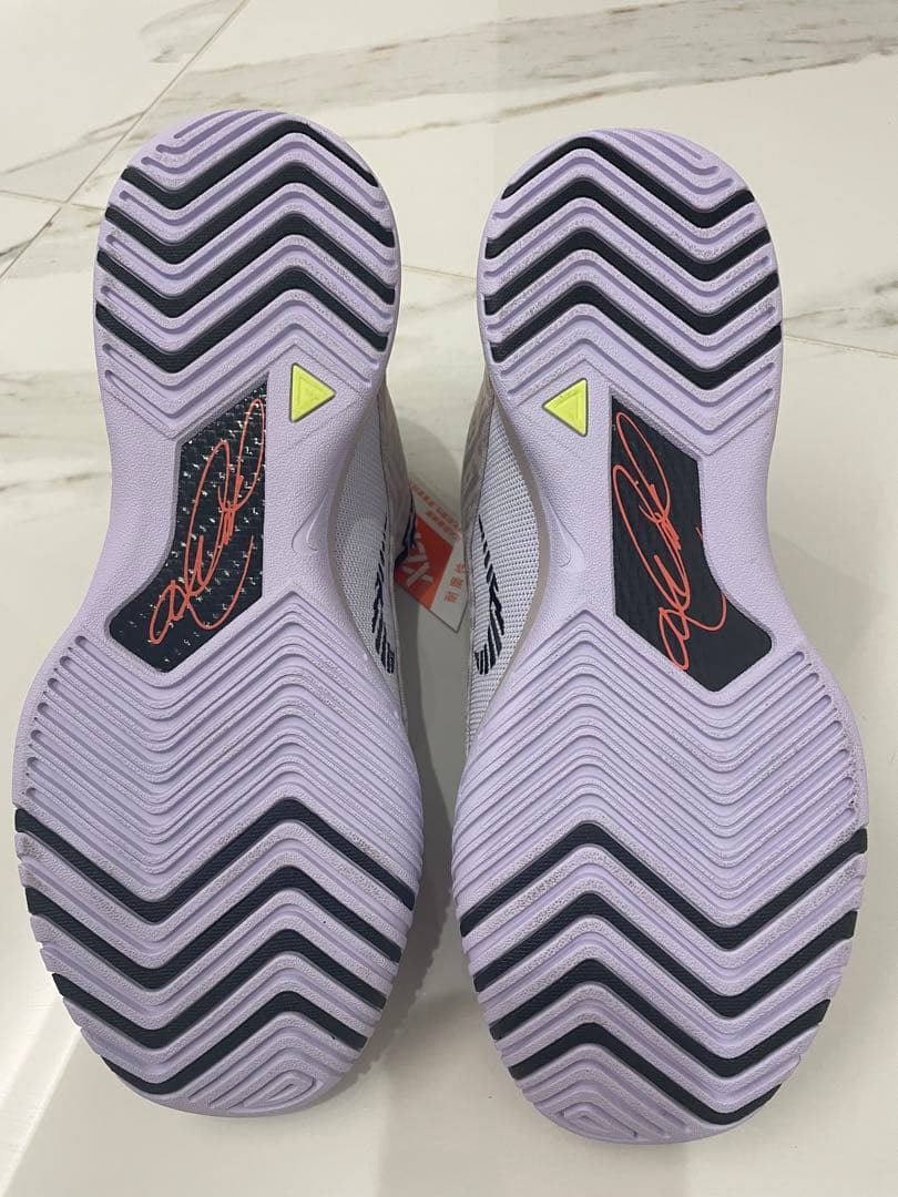 NIKE ナイキ　 レブロン NXXT ジーニサス　26.0