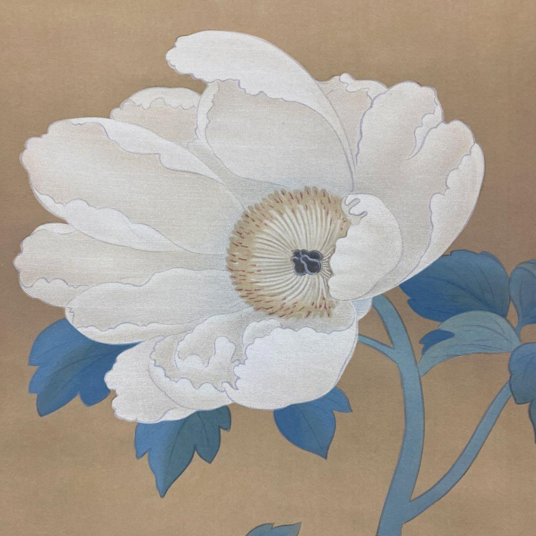 美品 掛け軸 菱田春草筆「白牡丹」名画 山種美術館 解説付き