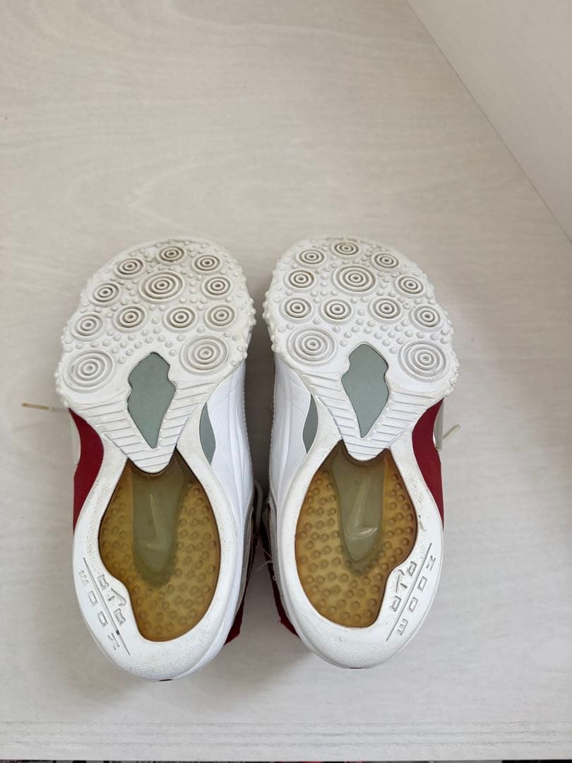 Nike＊限定品＊エアズームアップテンポファイブプレミアム＊バスケットシューズ