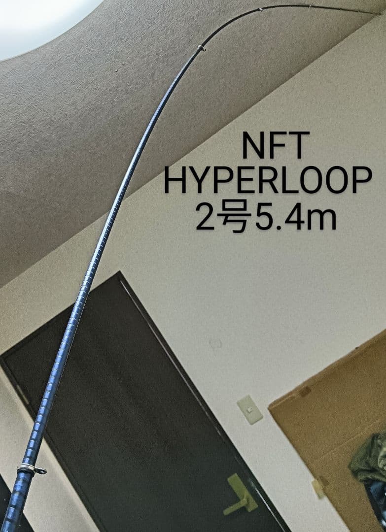 ダイワカーボウィスカー乱舞1.5号5.4m&NFTハイパーループ2号5.4m