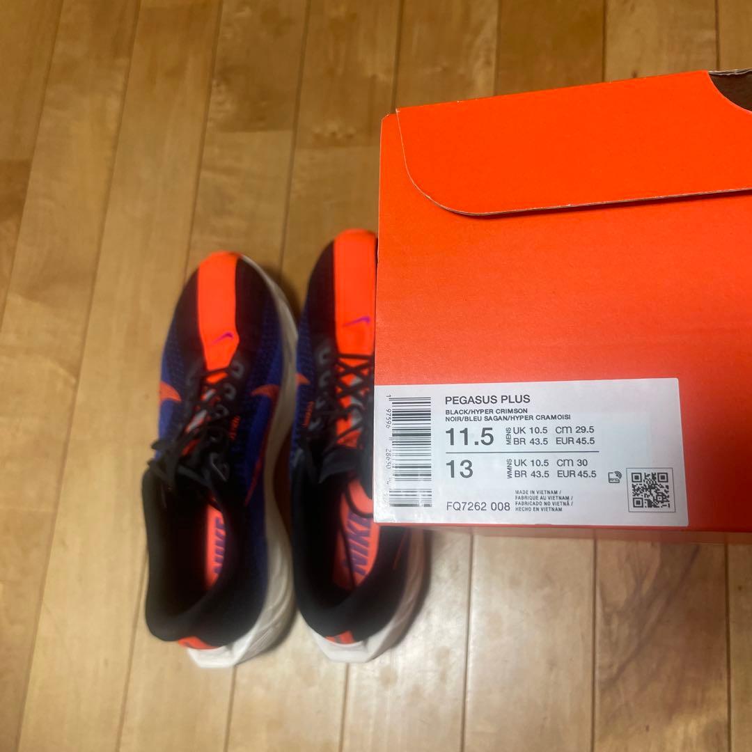 Nike ペガサスプラス メンズ 29.5cm