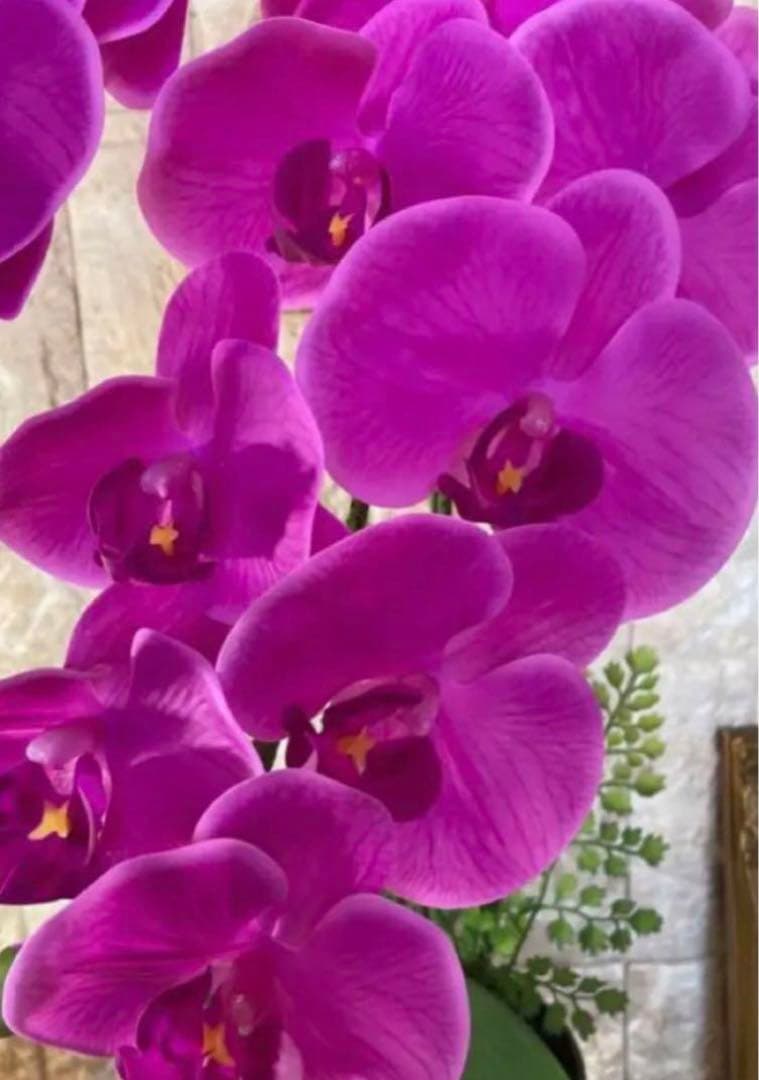 光触媒　人工観葉植物　ウォールグリーン　フェイク　フラワー　リアル胡蝶蘭7070