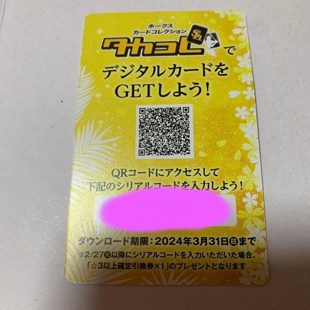 限定 ホークス カード コレクション ソフトバンク 福岡 宮崎 キャンプ 中村晃