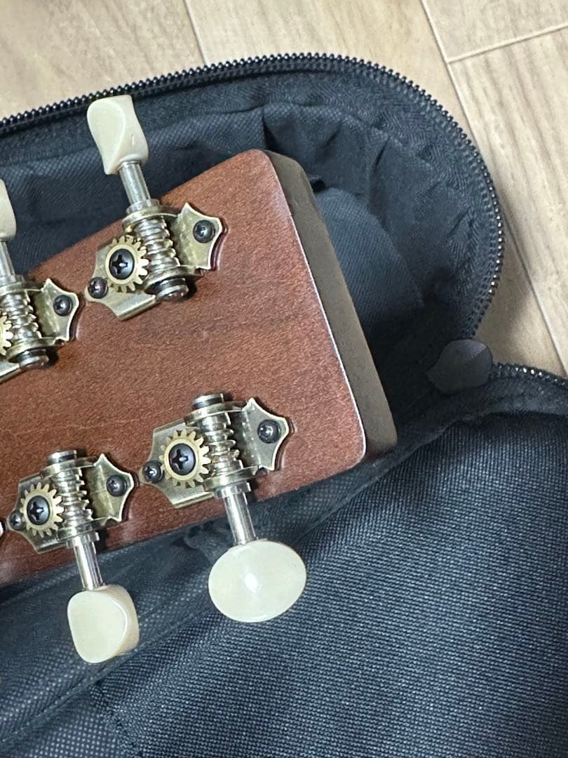 Art&Lutherie ギター Roadhouse Q-Discrete