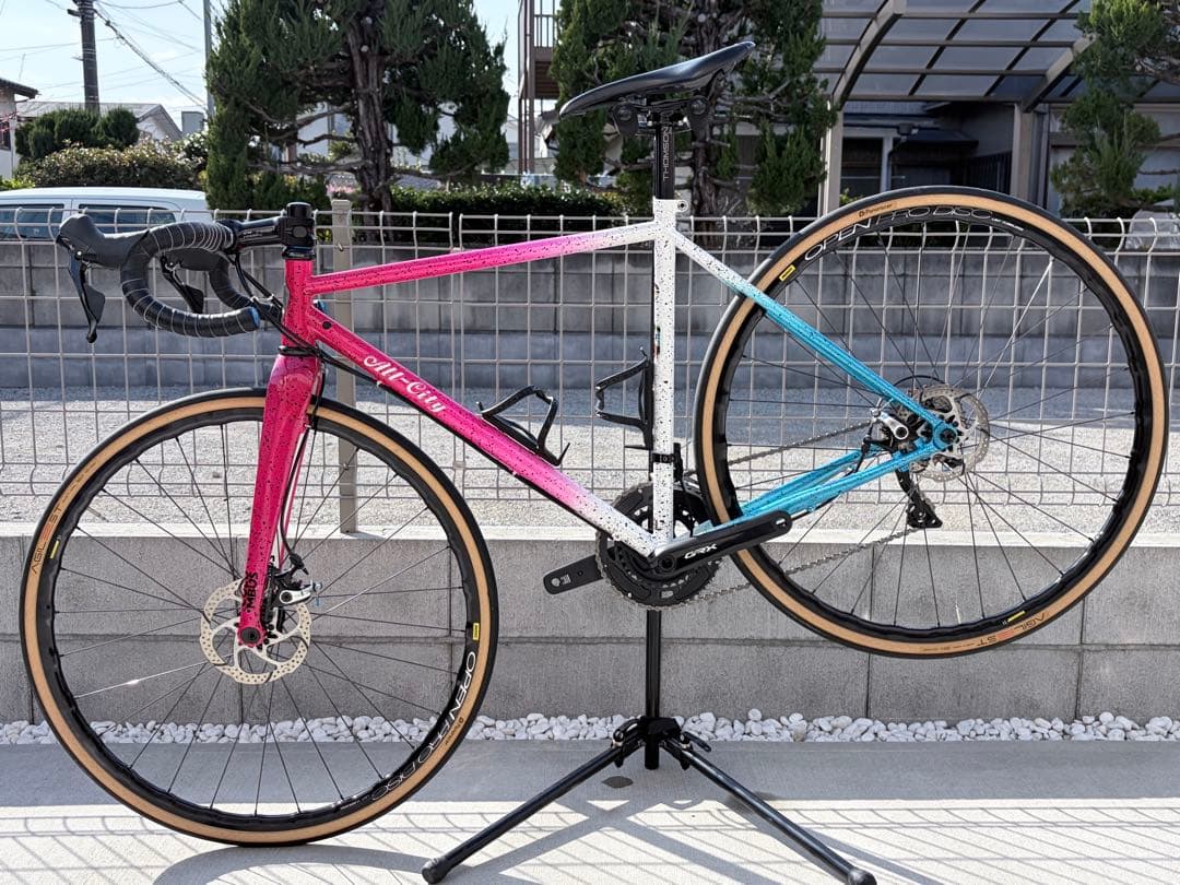 【引き渡し希望】All-City NATURE CROSS 49 オールシティ