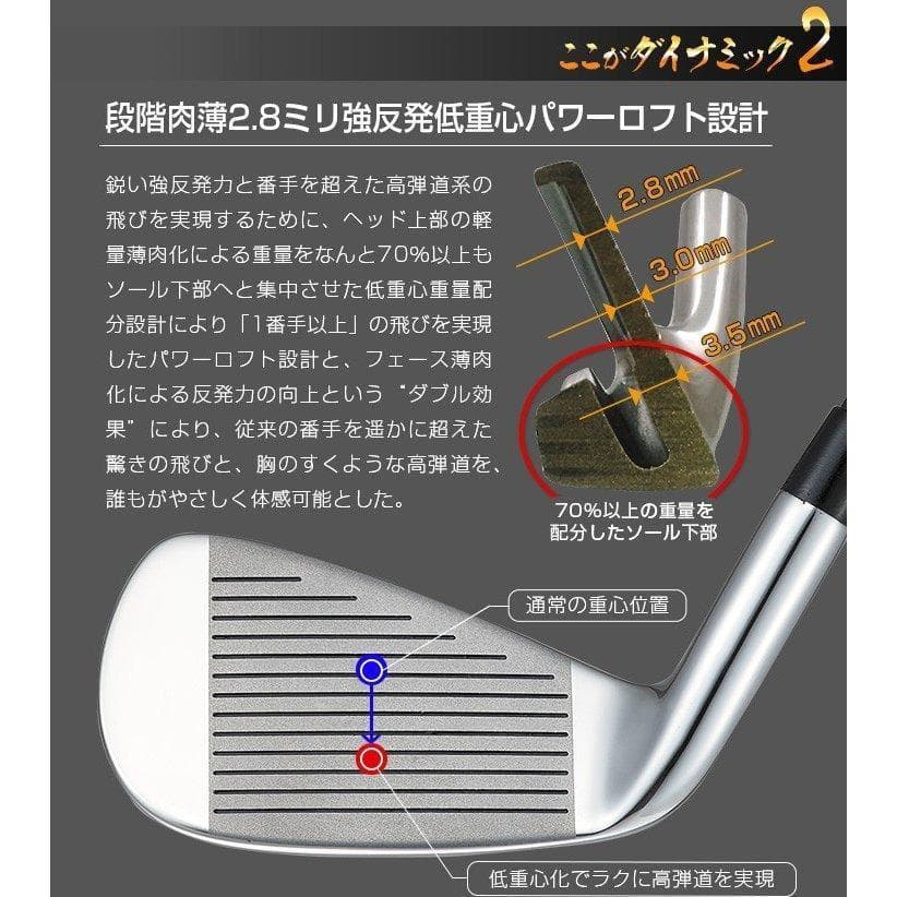新品 ６本セット ダイナミクスアイアン ５I～PW カーボンシャフト