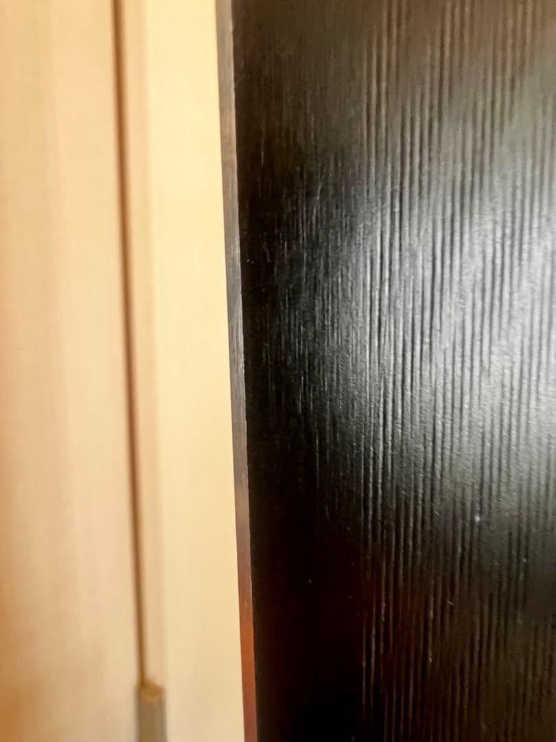 ATOMIC選手用プロトタイプ222　アルミプレート付きスキー板　値引き交渉⭕️