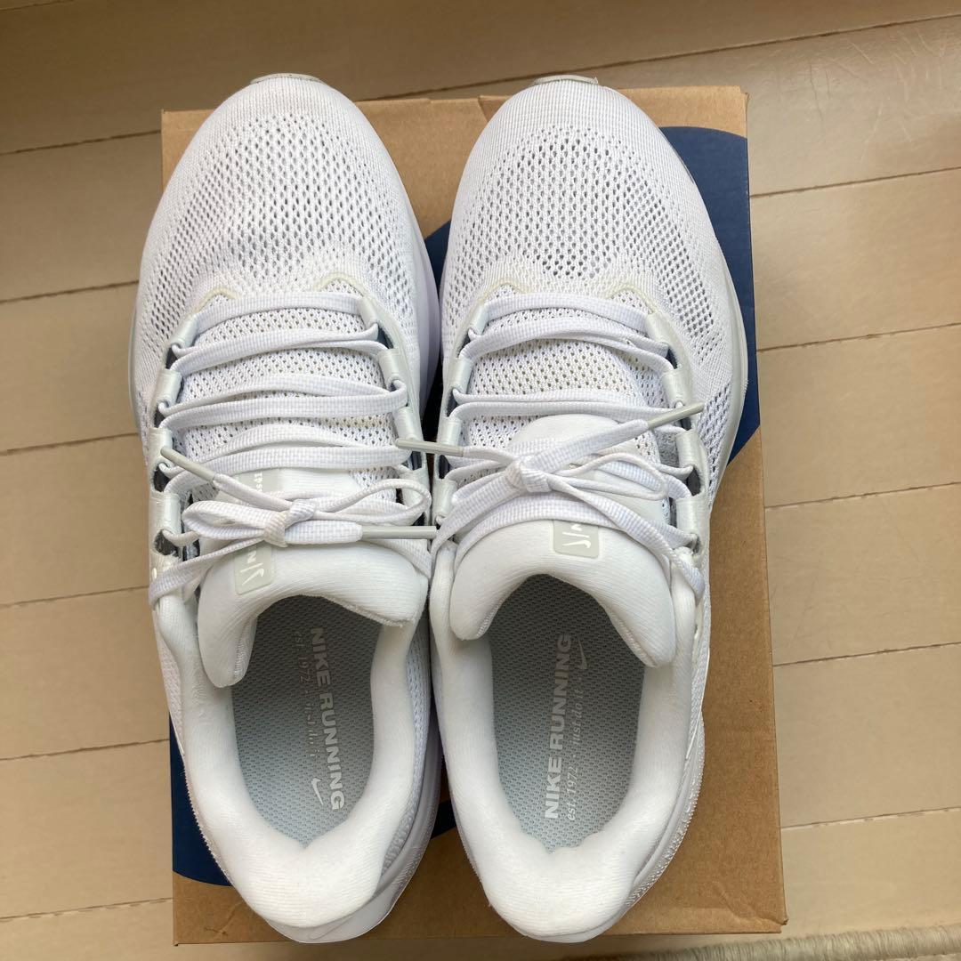 NIKE ペガサス41